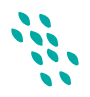Decorative Shape